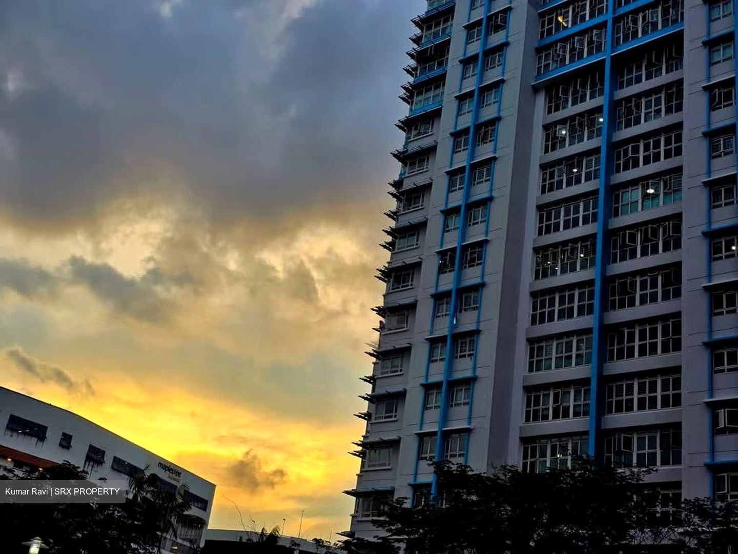 Blk 466A Spring Lodge (Sembawang), HDB 5 Rooms #566595761